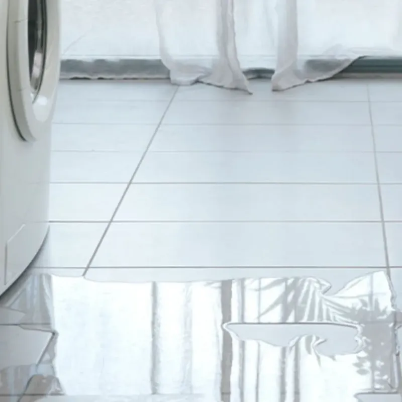 Appliance Leak Cleanup in Golden, CO